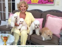 Ruta Lee