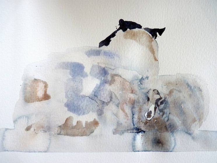Ruth McCabe