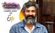 S.S. Rajamouli