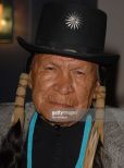 Saginaw Grant