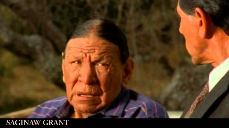 Saginaw Grant