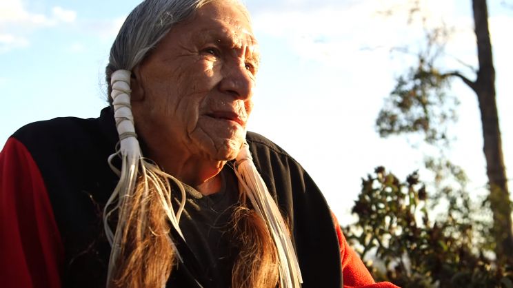 Saginaw Grant