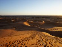 Sahara Sands