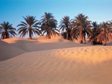 Sahara Sands