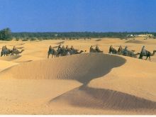 Sahara Sands