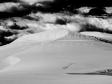 Sahara Sands