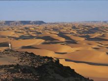 Sahara Sands