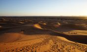 Sahara Sands