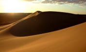 Sahara Sands