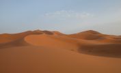 Sahara Sands