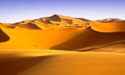 Sahara Sands