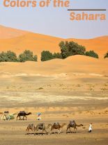 Sahara Sands