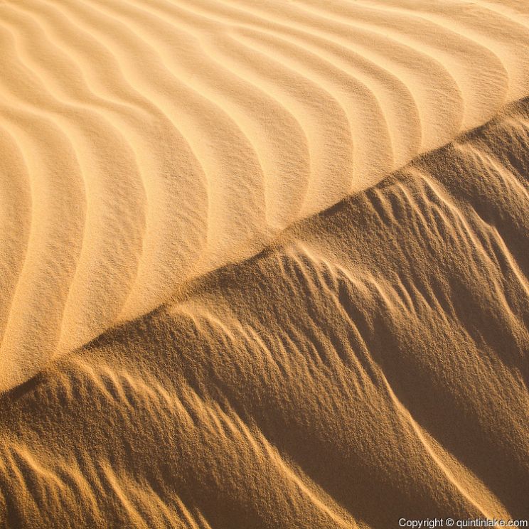 Sahara Sands