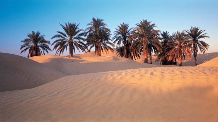 Sahara Sands