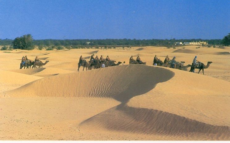 Sahara Sands