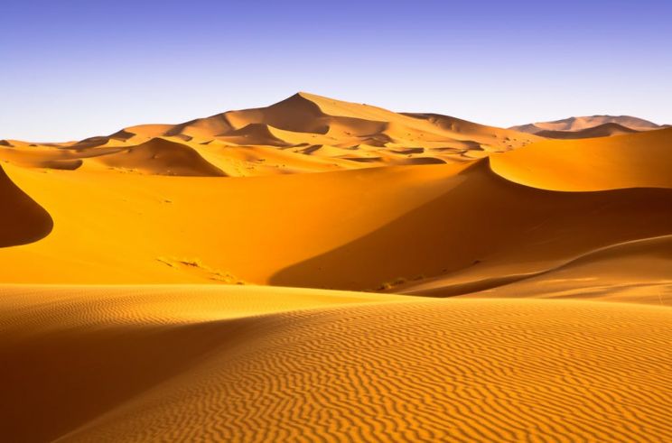 Sahara Sands