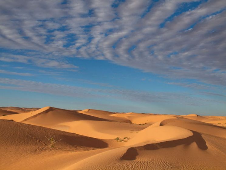 Sahara Sands