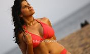 Sai Tamhankar