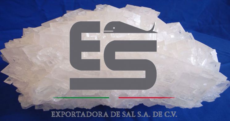 Sal Guerrero