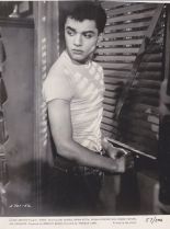 Sal Mineo