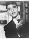 Sal Mineo