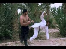 Salar Zarza