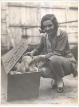 Sally Blane photo