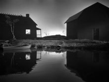 Sally Jane Bruce #3342494 picture (Landscape Medium)