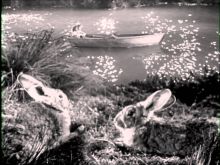 Sally Jane Bruce #3342513 picture (Landscape Medium)