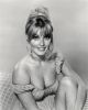 Sally Kemp