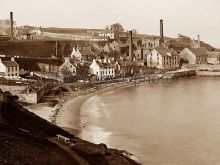 Sally Kinghorn