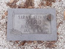Sally Stewart
