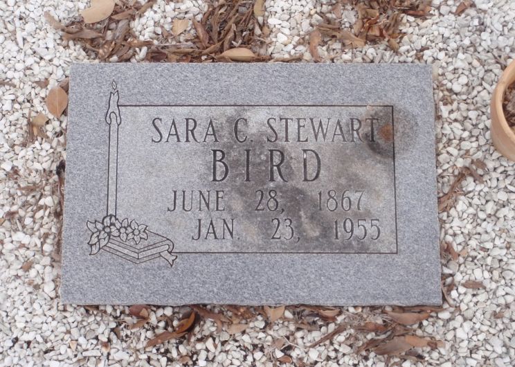 Sally Stewart