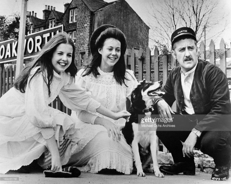Sally Thomsett