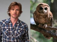 Sam Trammell