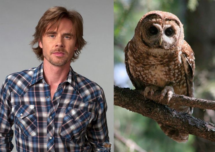 Sam Trammell