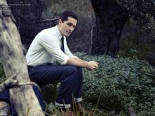 Sam Witwer