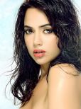 Sameera Reddy