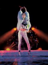 Sammi Cheng #2419961 picture (Portrait Medium)