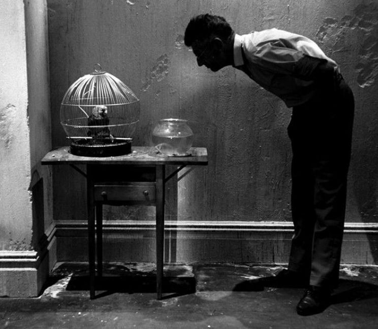 Samuel Beckett