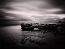 Sandra Canning