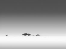 Sandra Canning