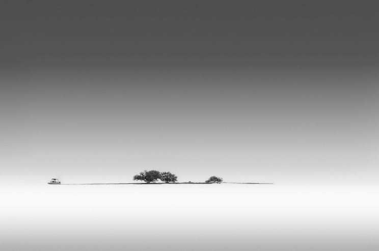 Sandra Canning