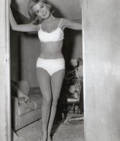 Sandra Knight