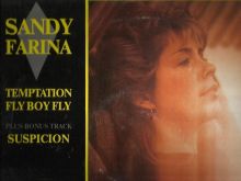 Sandy Farina