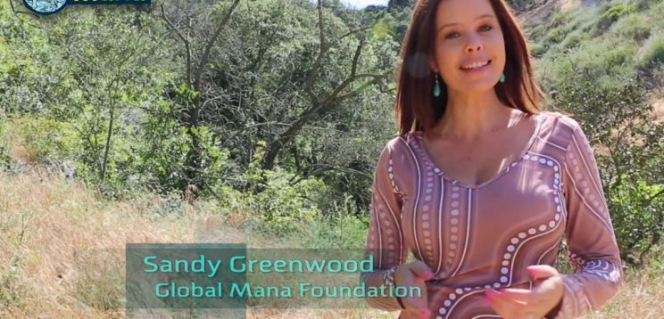 Sandy Greenwood
