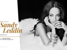 Sandy Leddin photo