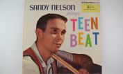 Sandy Nelson