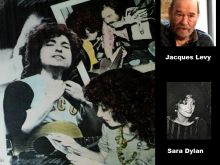 Sara Dylan