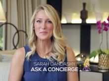 Sarah Dandashy